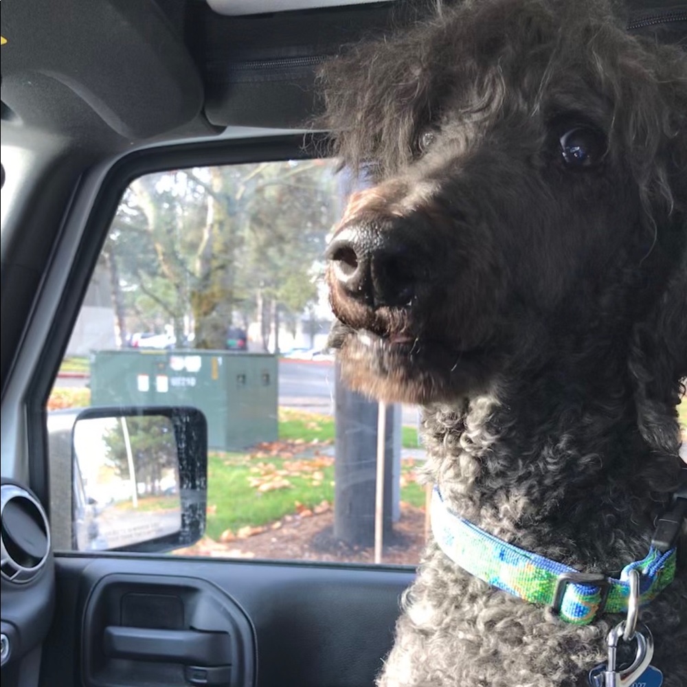 Meet your Posher, Taj